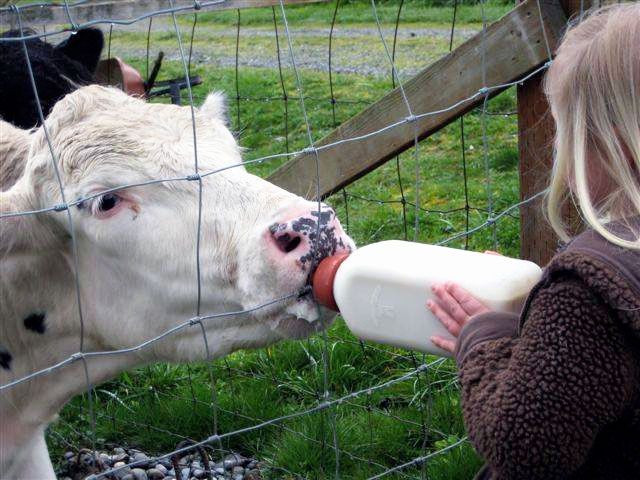 Casper drinking from a bottle held by a young girl