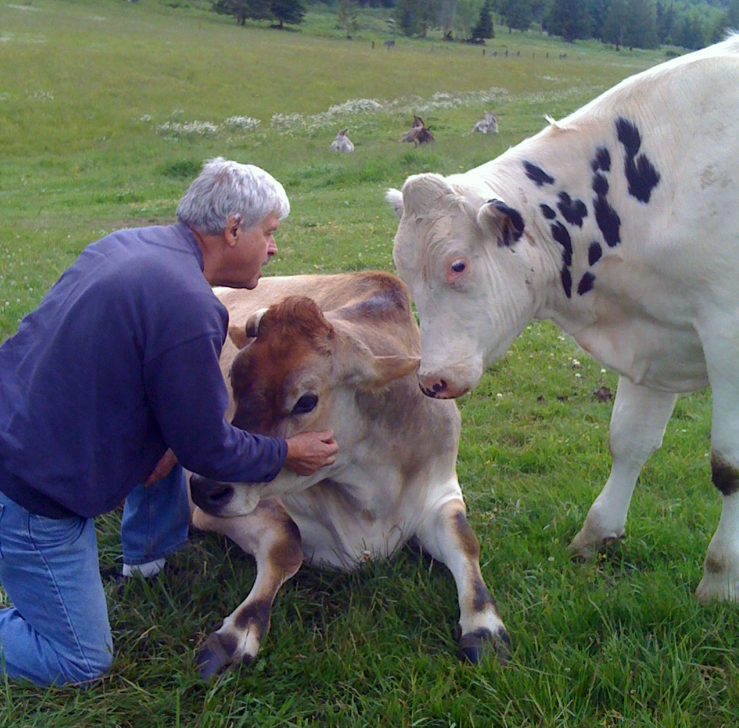 Ralph examining Dodge in the pasture
